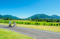 蒜山高原自転車道でサイクリングの画像