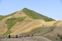 登山・トレッキングの画像