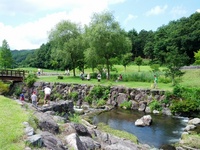 河川公園の画像