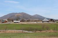 タンチョウ飼育棟（右）と蒜山の山々の画像