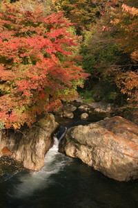 岡山の自然百選にも選ばれていますの画像