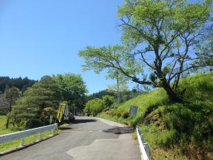 夏の大門坂