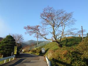 秋の大門坂