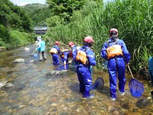 植杉川の生き物調査