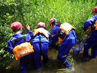 植杉川の生き物調査