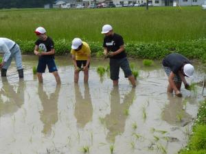 田植え②