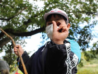 子ども達が見つけたお宝