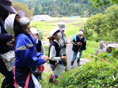 子ども達が見つけたお宝