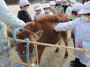 学校へ行ってミルク