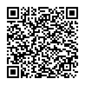 応募フォーム_出店【真庭市鉄道イベントまに鉄フェスタ】