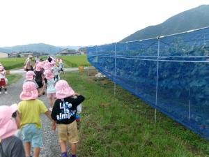 ぶどう畑に到着