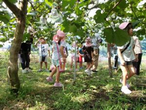 自分のぶどうはどこかな？