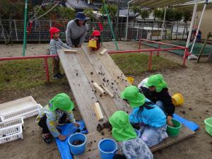 一気にたくさんのどんぐりを転がしてみたよ。