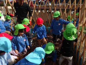 落ち葉プールで落ち葉の中に入って遊ぶ園児たち。