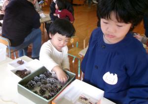 リースの材料選び