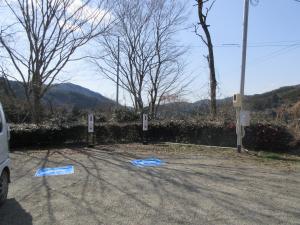 余野なつつばき