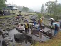 魚のつかみ取り