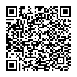 JR姫新線イベントアイデア_応募フォーム