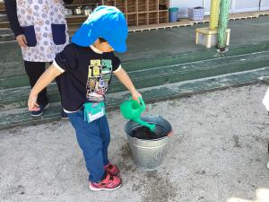 水入れ
