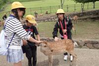 修学旅行