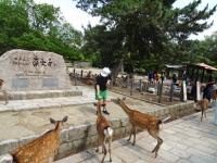 修学旅行6