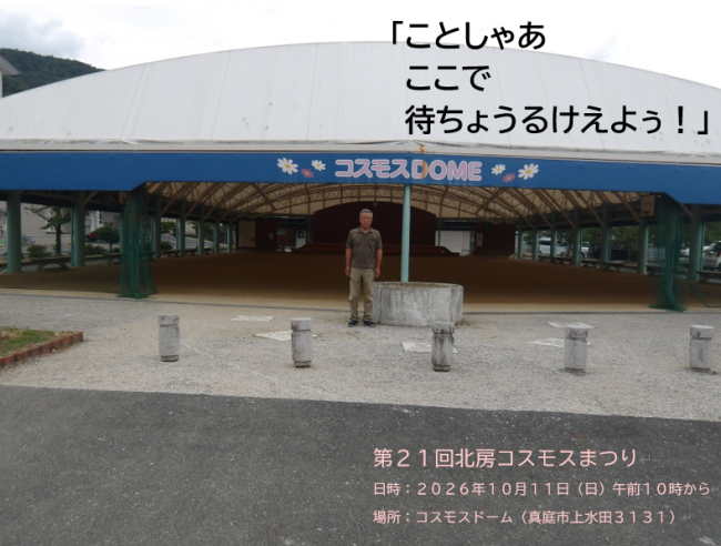 コスモス祭り