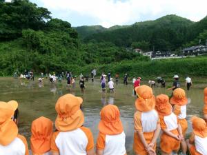 見学