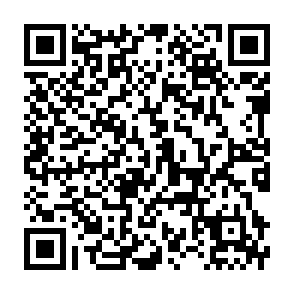 真庭こども広域学習応援_応募フォーム