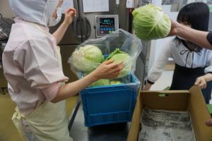 真庭産キャベツ納品の様子