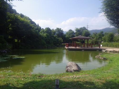 ほたる公園池