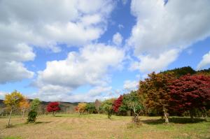 北房紅葉公園