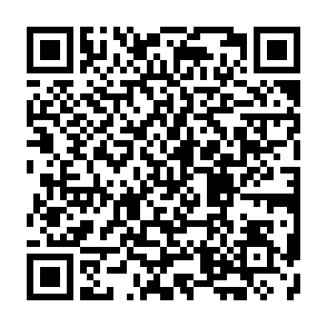 申込QRコード