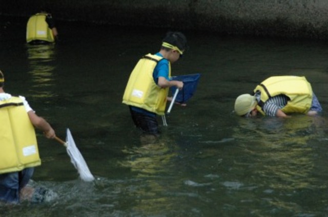 水生生物さがしの画像1