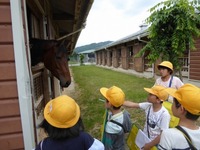 馬舎の画像