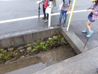 通学路安全点検の画像2