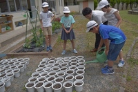 バイオ液肥を使って地域の方にプレゼントする花を育てていますの画像