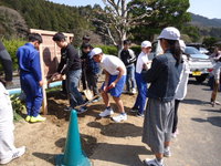 しっかり固定できるまで埋めましたの画像