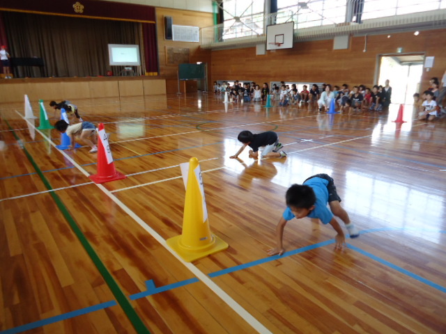 四つん這いリレーをしました。みんな動きがスムーズでしたの画像