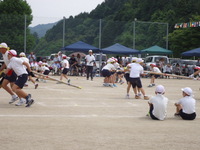 高学年は思いっきり引っ張り合いましたの画像