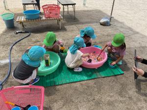 金魚すくい
