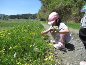 お花
