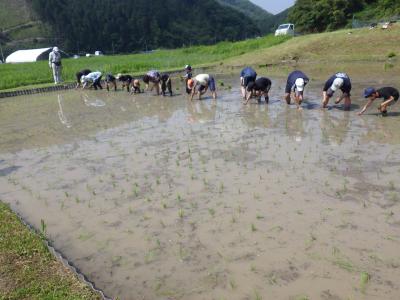 田植え1