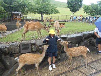 修学旅行