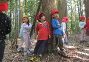 3歳