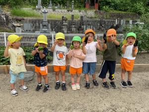 今日の収穫