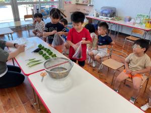 野菜持ち帰り