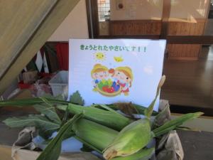 収穫したもの