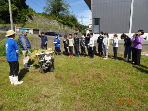 稲かり1