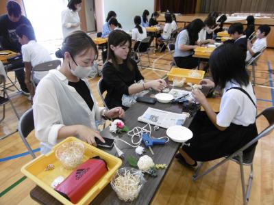 6年学P