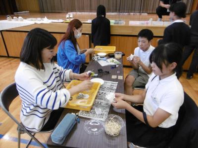 6年学P
